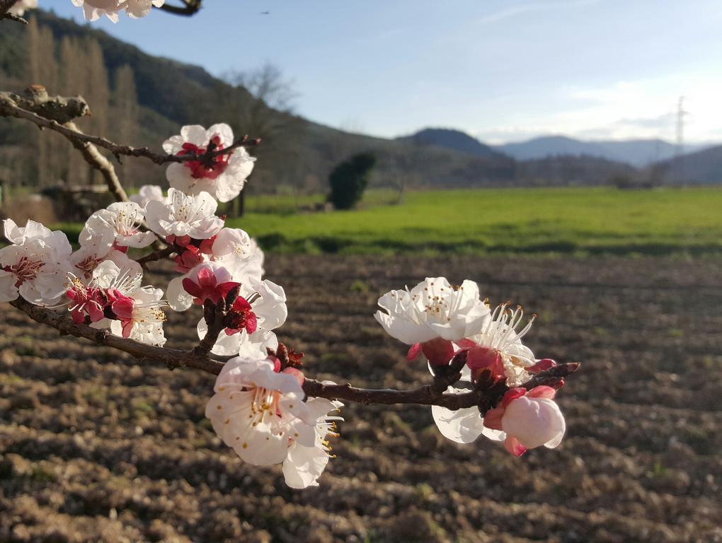 Agriturismo I Terzieri Ferentillo ภายนอก รูปภาพ
