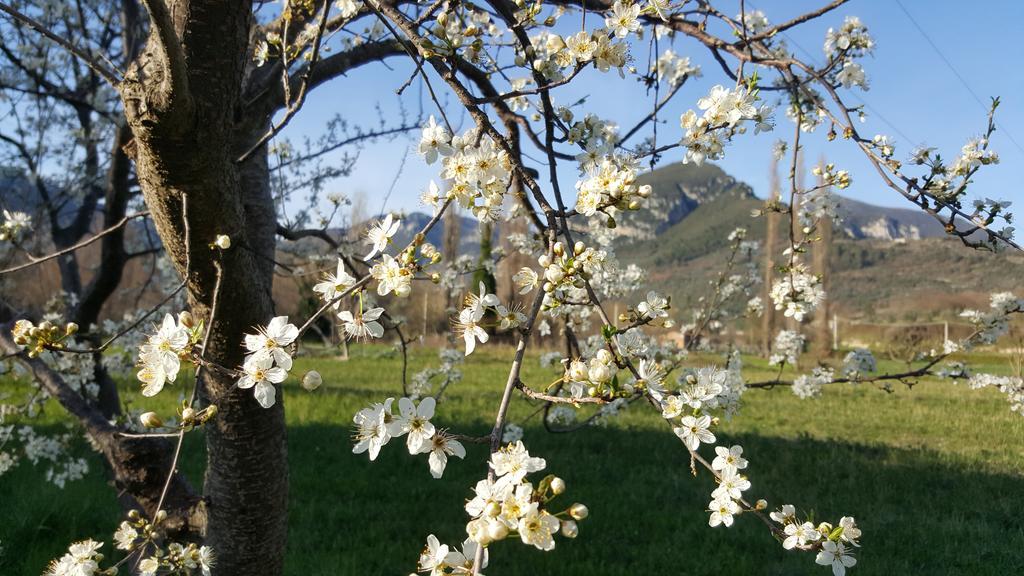 Agriturismo I Terzieri Ferentillo ภายนอก รูปภาพ