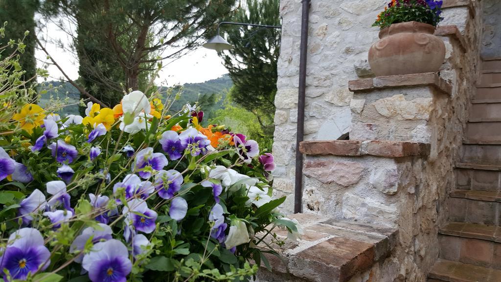Agriturismo I Terzieri Ferentillo ภายนอก รูปภาพ