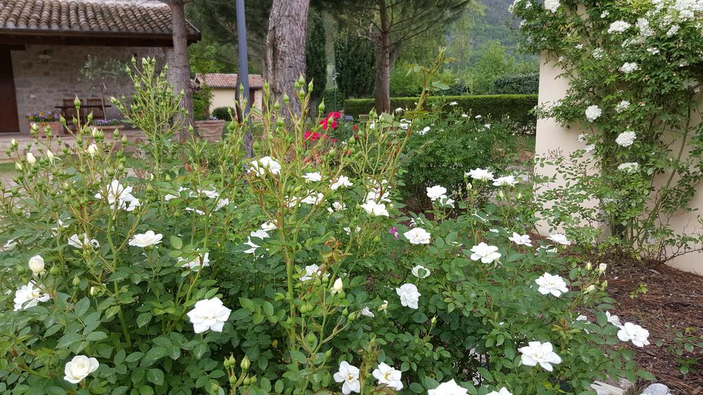 Agriturismo I Terzieri Ferentillo ภายนอก รูปภาพ