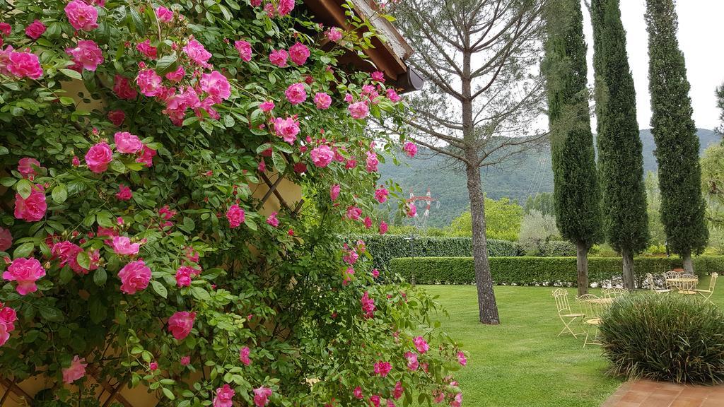 Agriturismo I Terzieri Ferentillo ภายนอก รูปภาพ